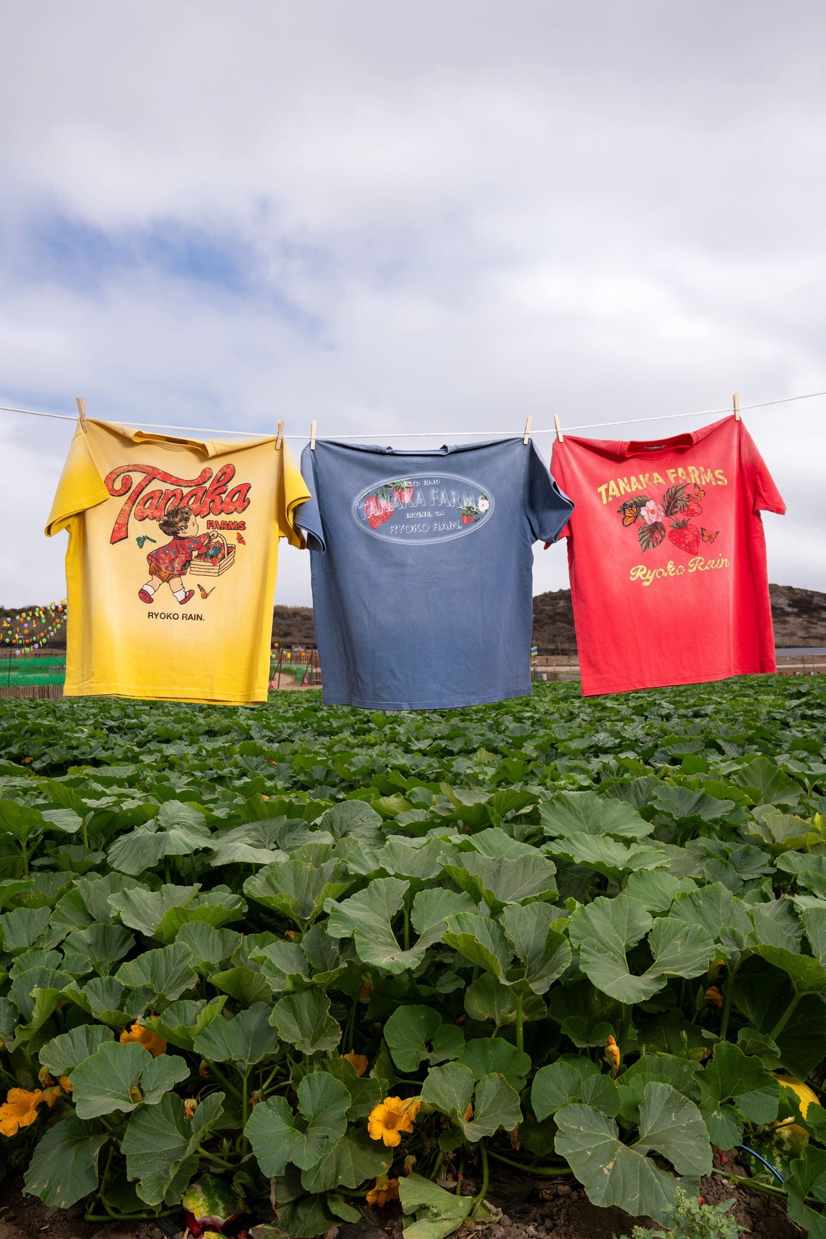 RYOKO RAIN X TANAKA FARMS